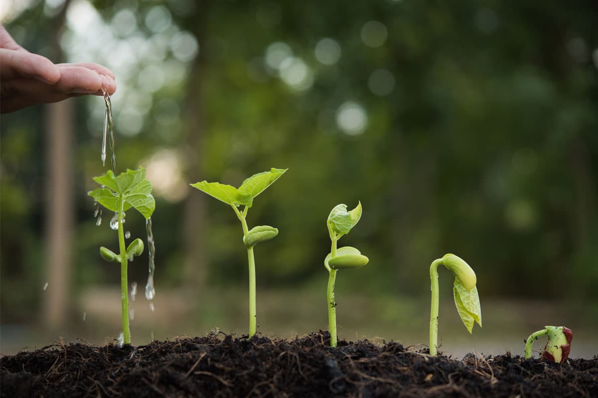 Sanogenese en de vergeten rol van CO₂