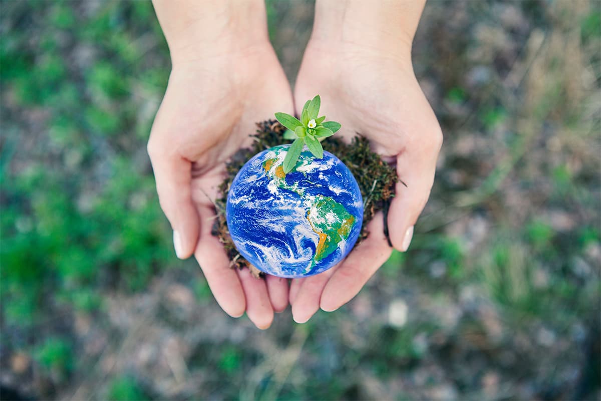 De theorie van Buteyko